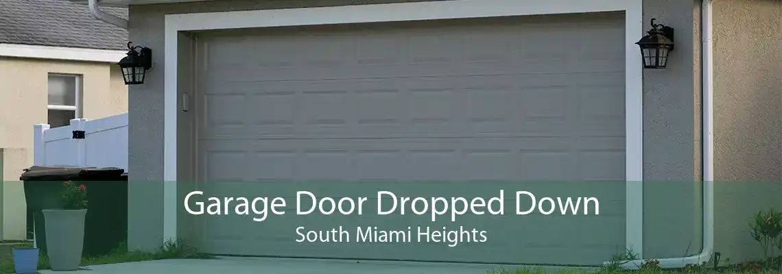 Garage Door Dropped Down South Miami Heights